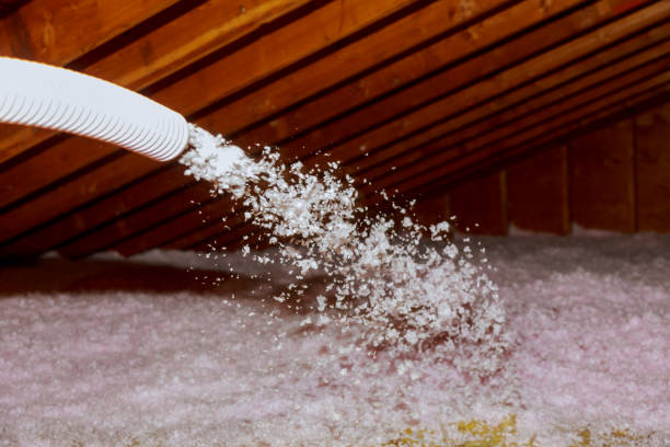 Types of Insulation We Offer in Dyersburg, TN